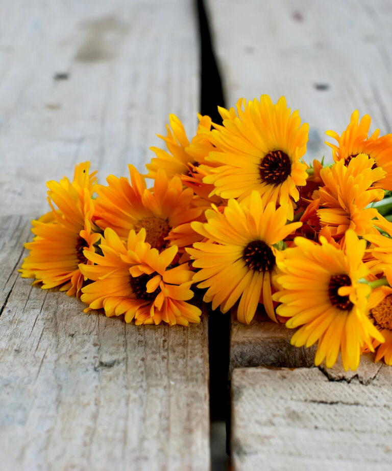 Ein Bund leuchtend orangefarbener Blumen liegt auf einem rustikalen Holztisch.